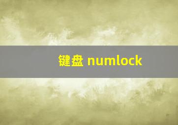 键盘 numlock